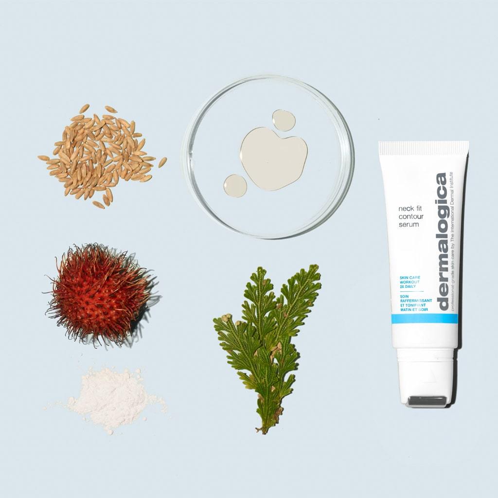 Dermalogica Neck Fit Contour Inhaltsstoffe