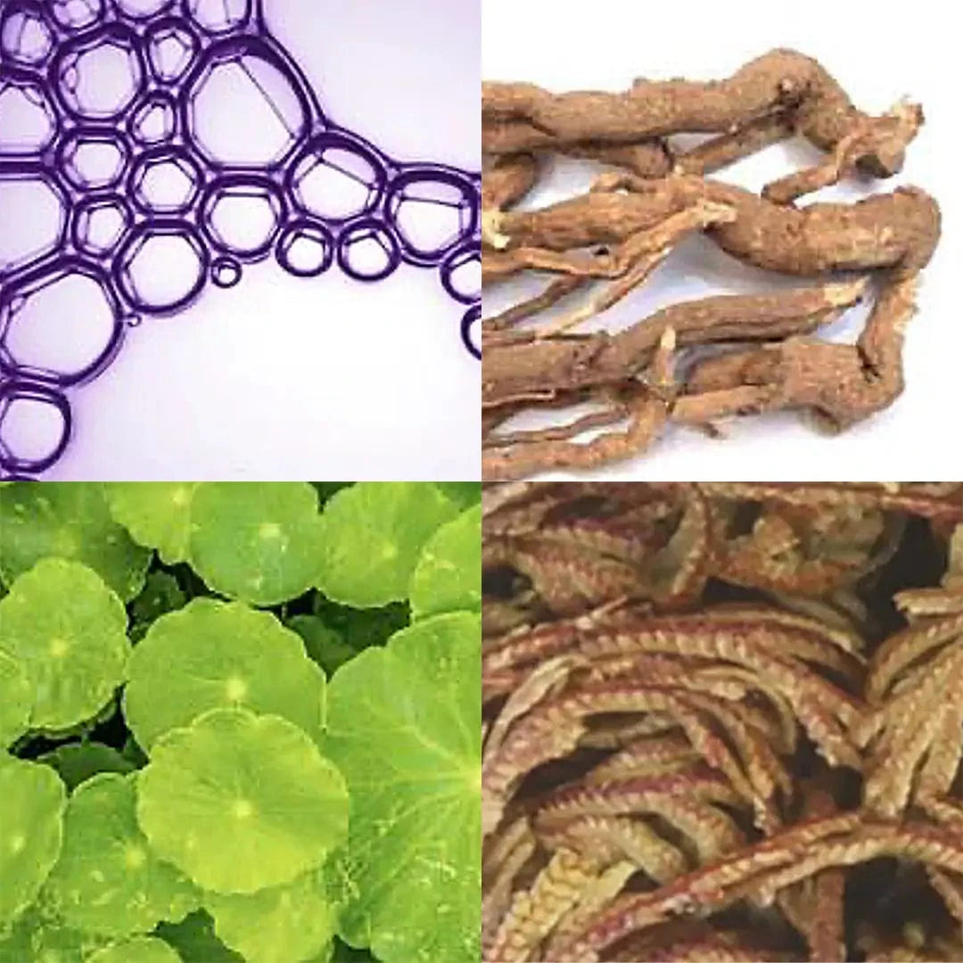 Eine Collage aus vier Bildern - lila Seifenblasen, getrocknete Wurzeln, grüne Blätter und gestreifte getrocknete Pflanzen - fängt die beruhigende Essenz und Frische der Routine Frühlingshaut ein.