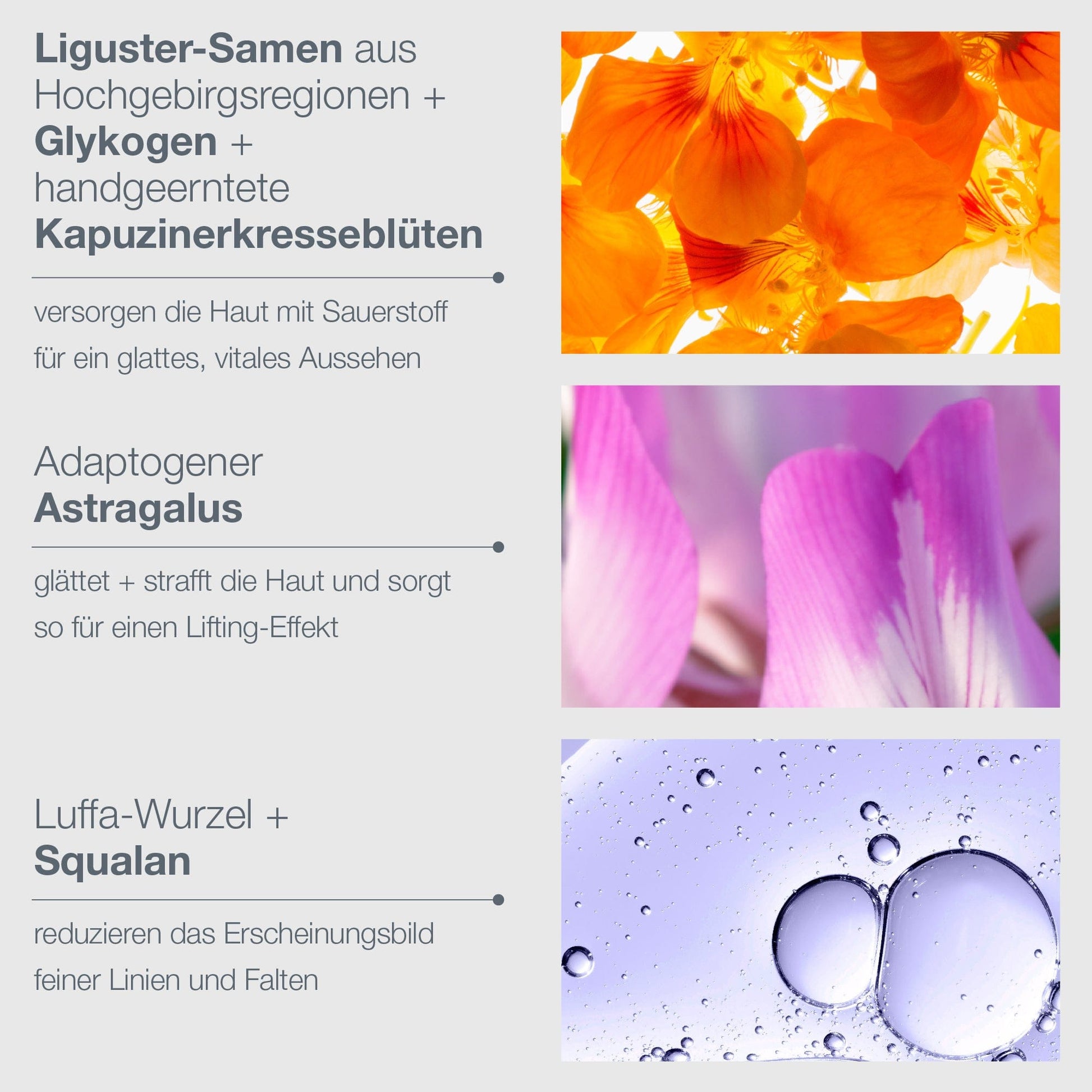 Vier Quadranten mit jeweils Text und Bild, die Inhaltsstoffe und Vorteile einer Hautpflegeserie darstellen, und Nahaufnahmen von Blüten und Wassertröpfchen.